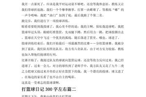 篮球训练日记300例